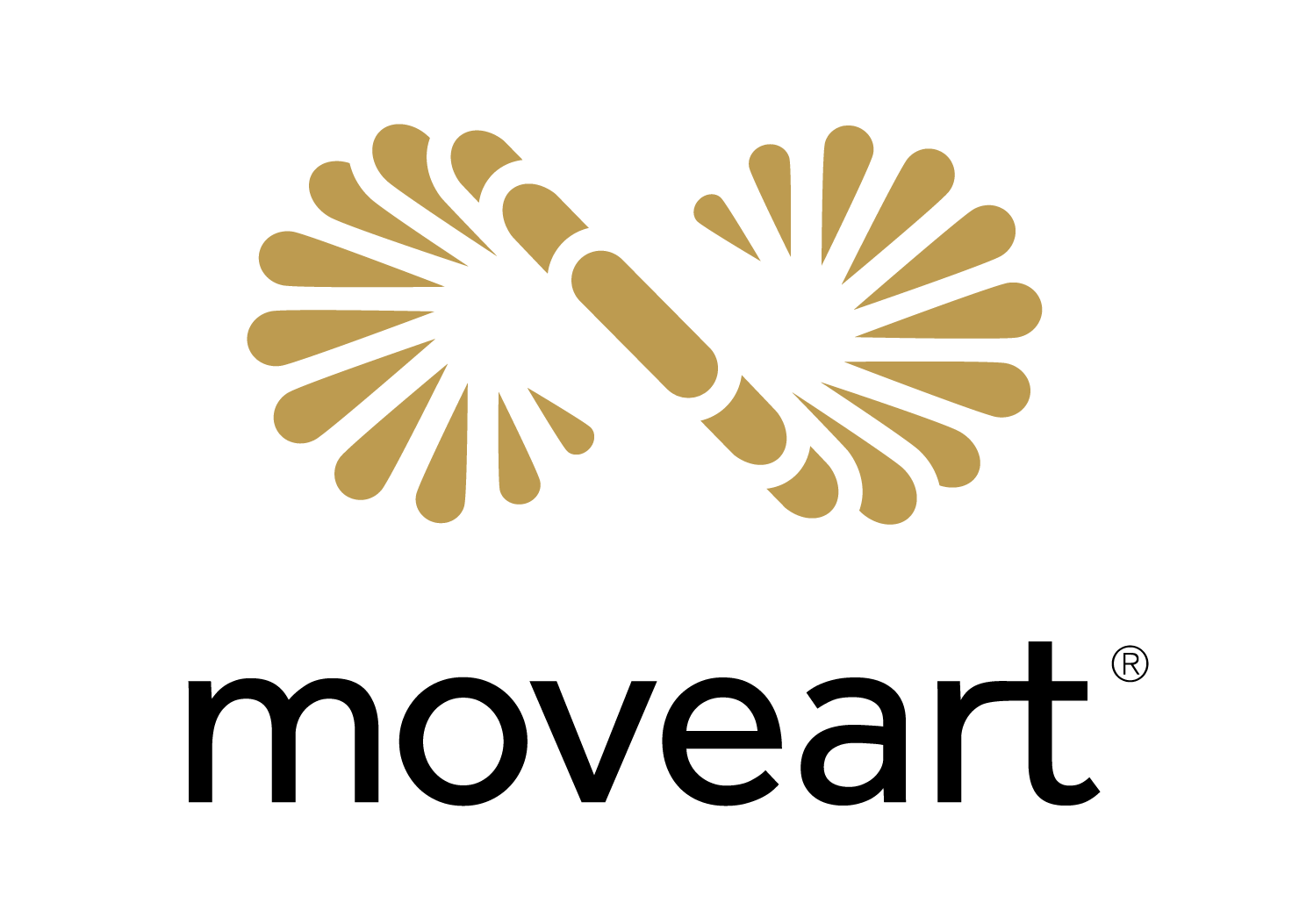 Logo Accoya Industrie Partner moveart