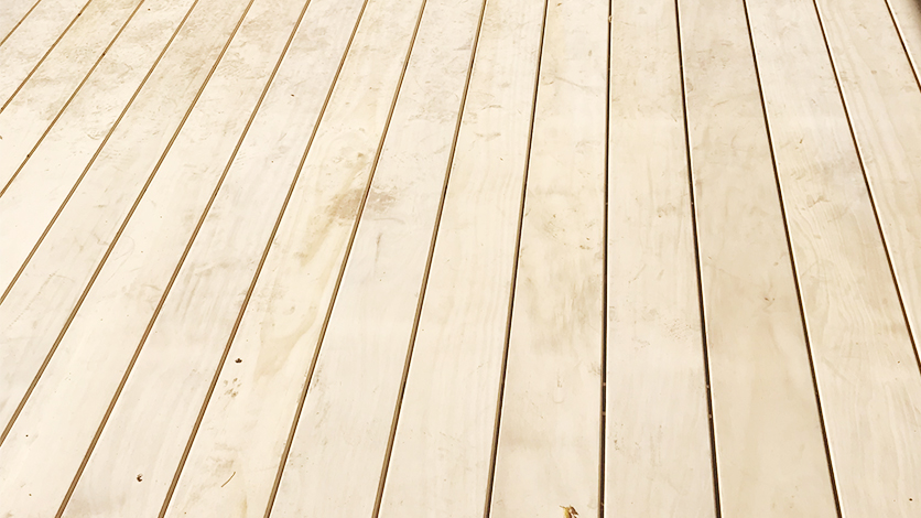 Accoya Holzterrasse für Pflanzenschau