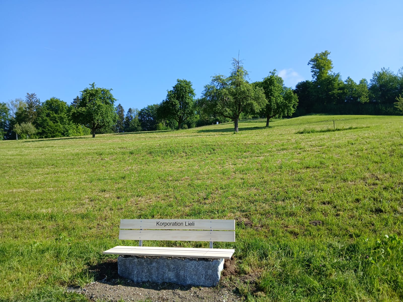 Sitzbank aus Accoya Holz mit Rücklehne
