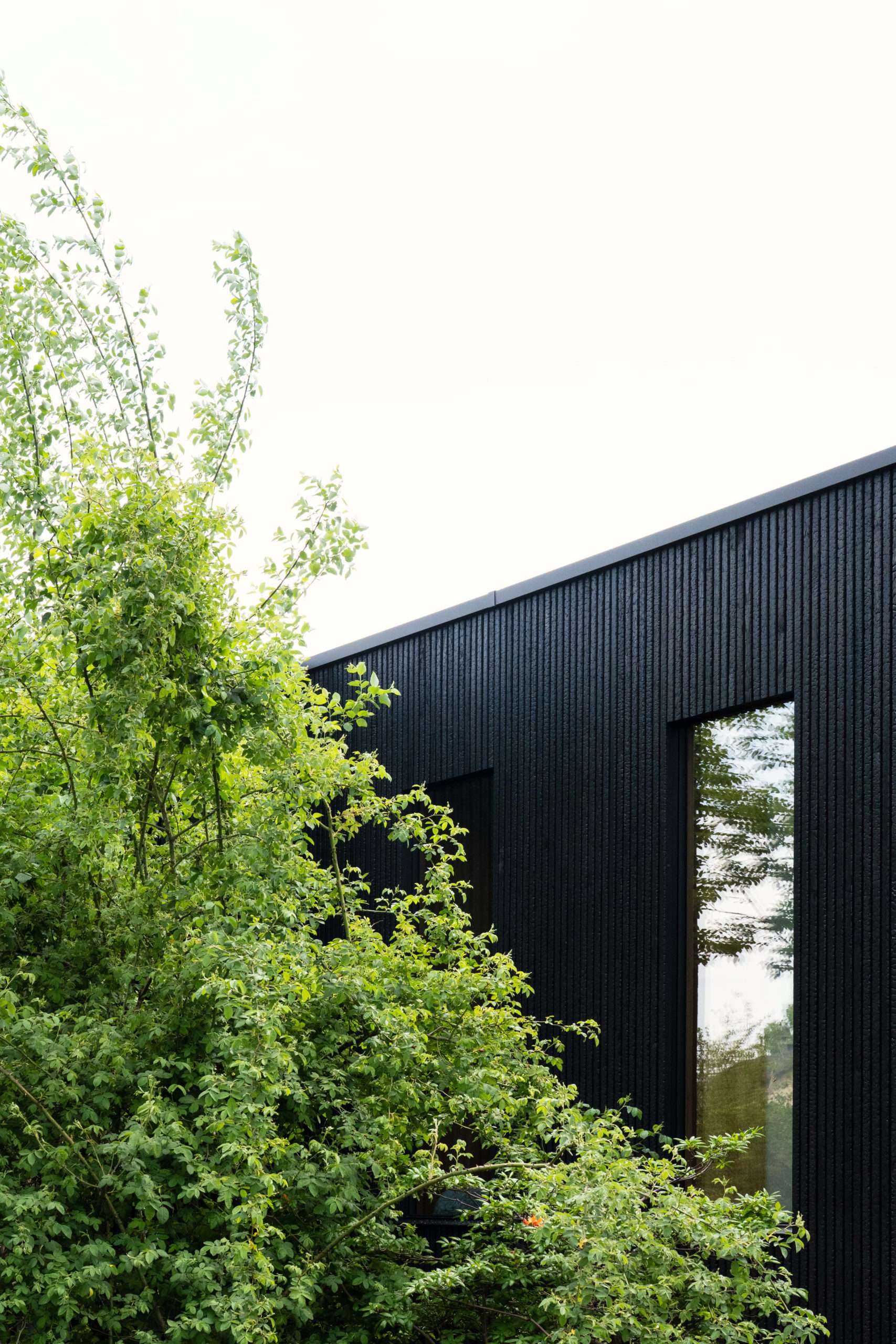 Holzfassade aus karbonisiertem Holz Naoshima