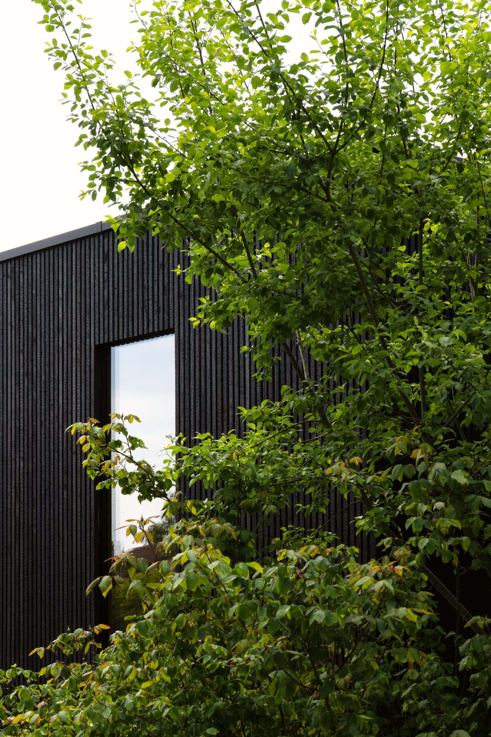 Holzfassade aus karbonisiertem Holz Naoshima